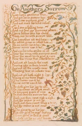 Über das Leid anderer, Platte 24 aus Songs of Innocence, 1789
